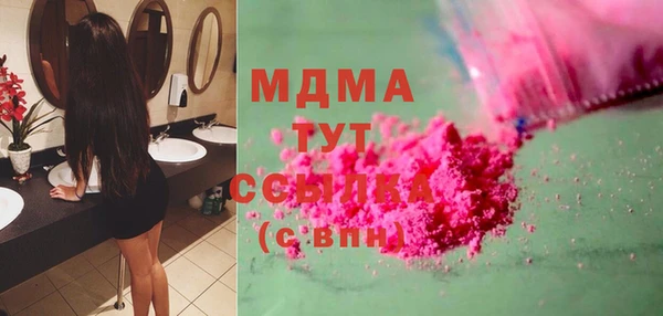 индика Алексин