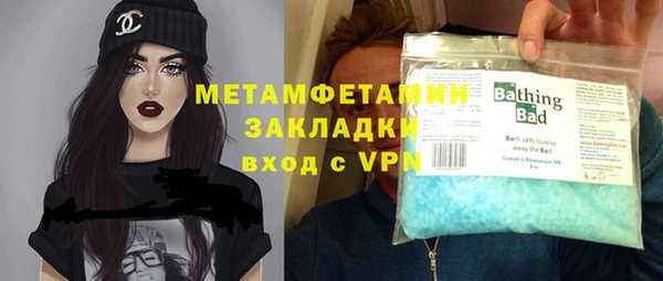 индика Алексин