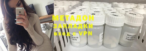 индика Алексин