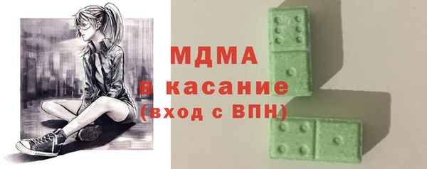 индика Алексин