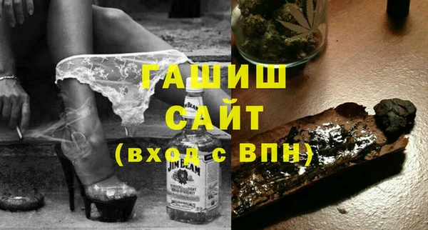 индика Алексин