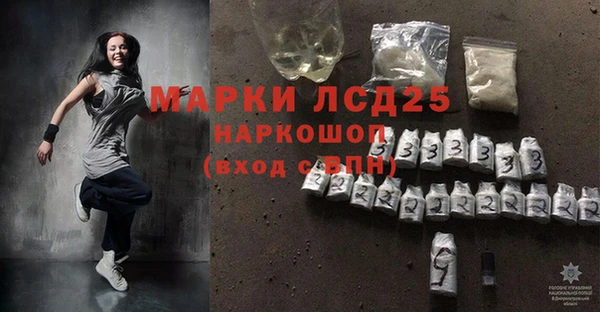 индика Алексин