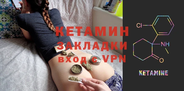 индика Алексин