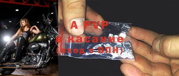 индика Алексин